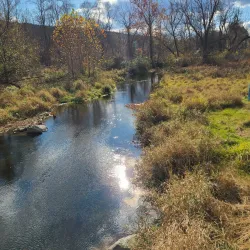 Brooks Lake Preserve - Stroudsburg