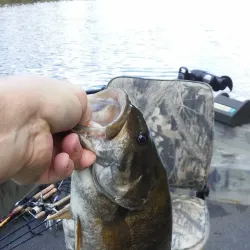 The Oil Heritage Region Visitor Center - Warren