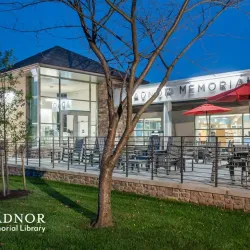 The Wayne Library - Wayne