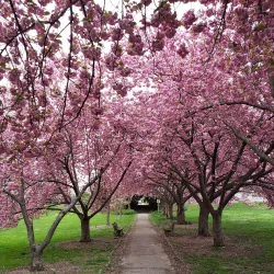 Everhart Park - West Chester