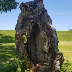 Nesbitt Park - Wilkes-Barre