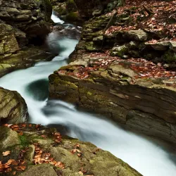 Seven Tubs Natural Area - Wilkes-Barre