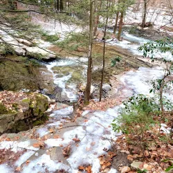 Seven Tubs Natural Area - Wilkes-Barre