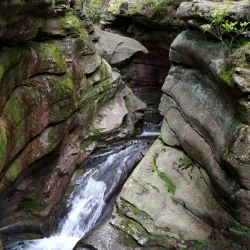 Seven Tubs Natural Area - Wilkes-Barre