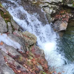 Seven Tubs Natural Area - Wilkes-Barre
