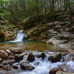 Seven Tubs Natural Area - Wilkes-Barre