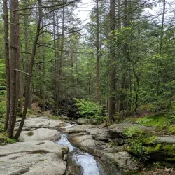 Seven Tubs Natural Area - Wilkes-Barre