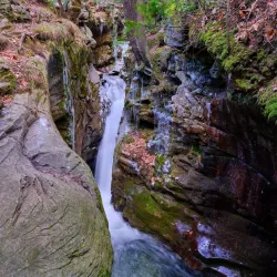 Seven Tubs Natural Area - Wilkes-Barre