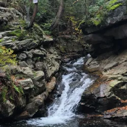 Seven Tubs Natural Area - Wilkes-Barre