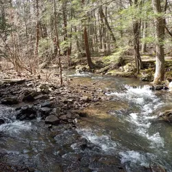 Seven Tubs Natural Area - Wilkes-Barre