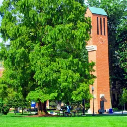 Wilkes University - Wilkes-Barre