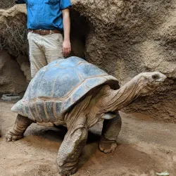 Clyde Peeling's Reptiland - Williamsport