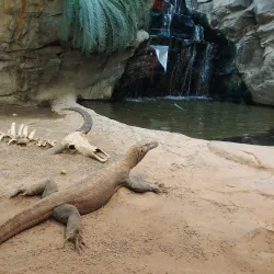 Clyde Peeling's Reptiland - Williamsport