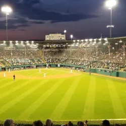 Little League World Series Complex - Williamsport