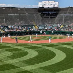 Little League World Series Complex - Williamsport