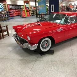 Lycoming Mall - Williamsport