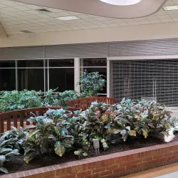 Lycoming Mall - Williamsport