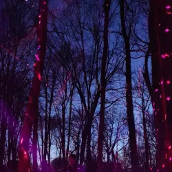 Abington Art Center - Willow Grove