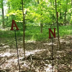 Abington Art Center - Willow Grove