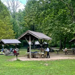 Lorimer Park - Willow Grove