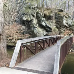 Lorimer Park - Willow Grove