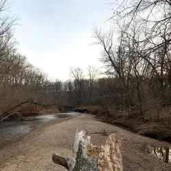 Lorimer Park - Willow Grove