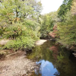 Lorimer Park - Willow Grove