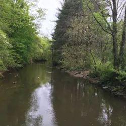 Lorimer Park - Willow Grove