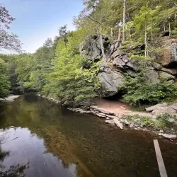 Lorimer Park - Willow Grove