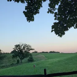 Lorimer Park - Willow Grove