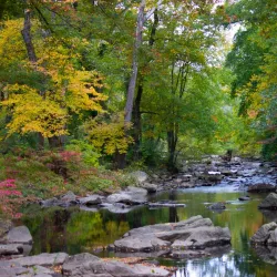 Pennypack Park - Willow Grove