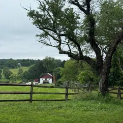 Pennypack Park - Willow Grove