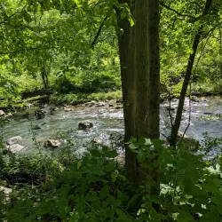Pennypack Park - Willow Grove