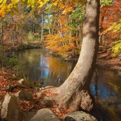 Pennypack Park - Willow Grove