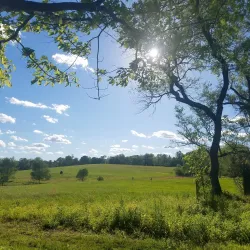 Pennypack Park - Willow Grove
