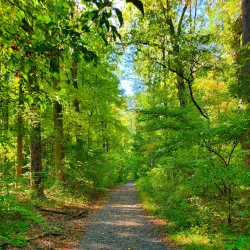 Pennypack Park - Willow Grove