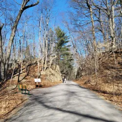 Pennypack Park - Willow Grove