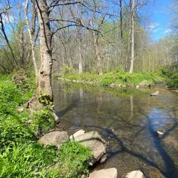 Pennypack Park - Willow Grove