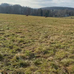 Pennypack Park - Willow Grove