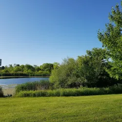 Warminster Community Park - Willow Grove