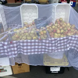 Willow Grove Farmers Market - Willow Grove