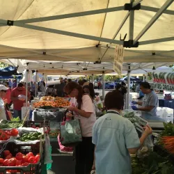 Willow Grove Farmers Market - Willow Grove
