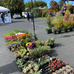 Willow Grove Farmers Market - Willow Grove