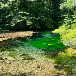 Aquetong Spring Park - Yardley