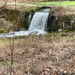 Aquetong Spring Park - Yardley