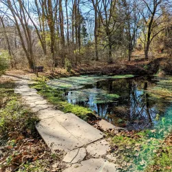 Aquetong Spring Park - Yardley