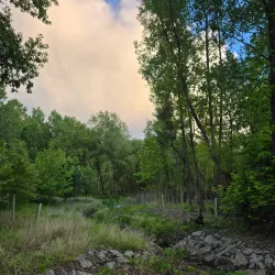 Aquetong Spring Park - Yardley
