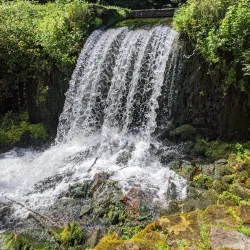 Aquetong Spring Park - Yardley