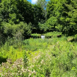 Aquetong Spring Park - Yardley