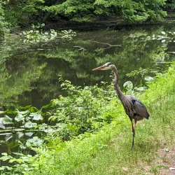 Delaware Canal State Park - Yardley